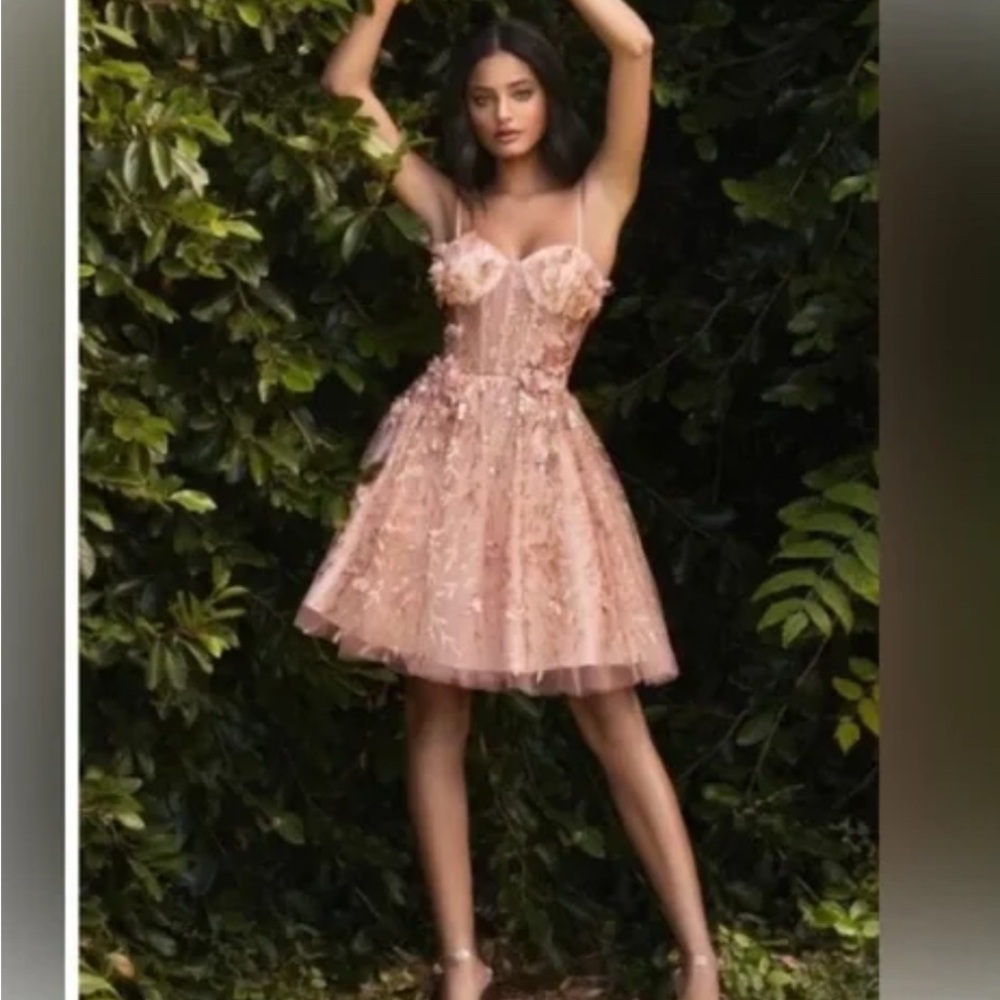 Cinderella Divine Short Prom Cocktail Dress Blush Pink NWT size Large